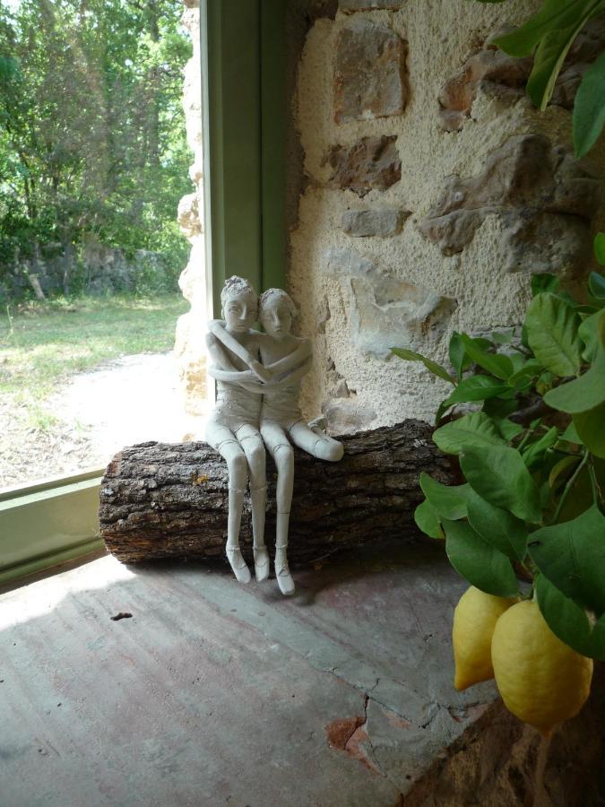 La Rose Des Vents Bed & Breakfast Montauroux Exterior photo