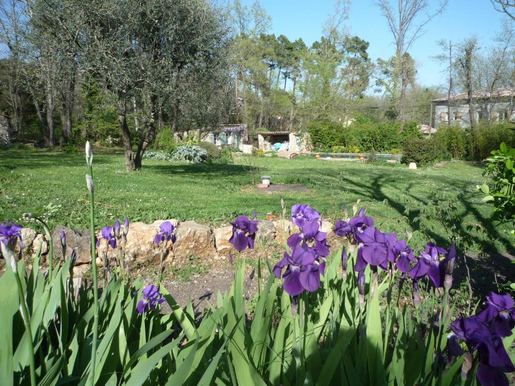 La Rose Des Vents Bed & Breakfast Montauroux Exterior photo